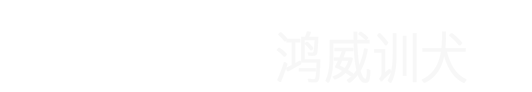 苏州宠物训练哪家好
