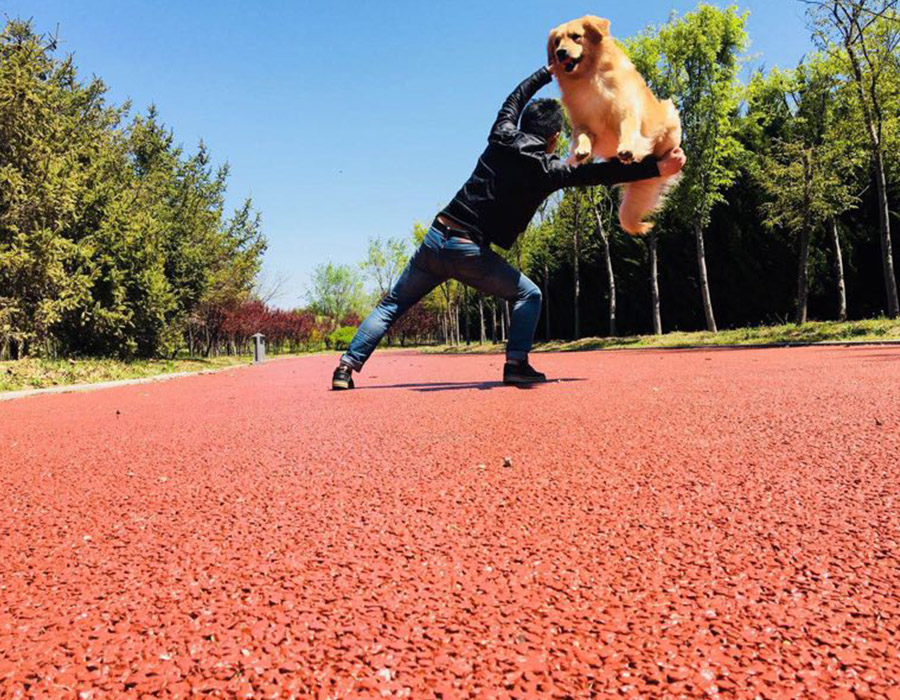 训犬集锦