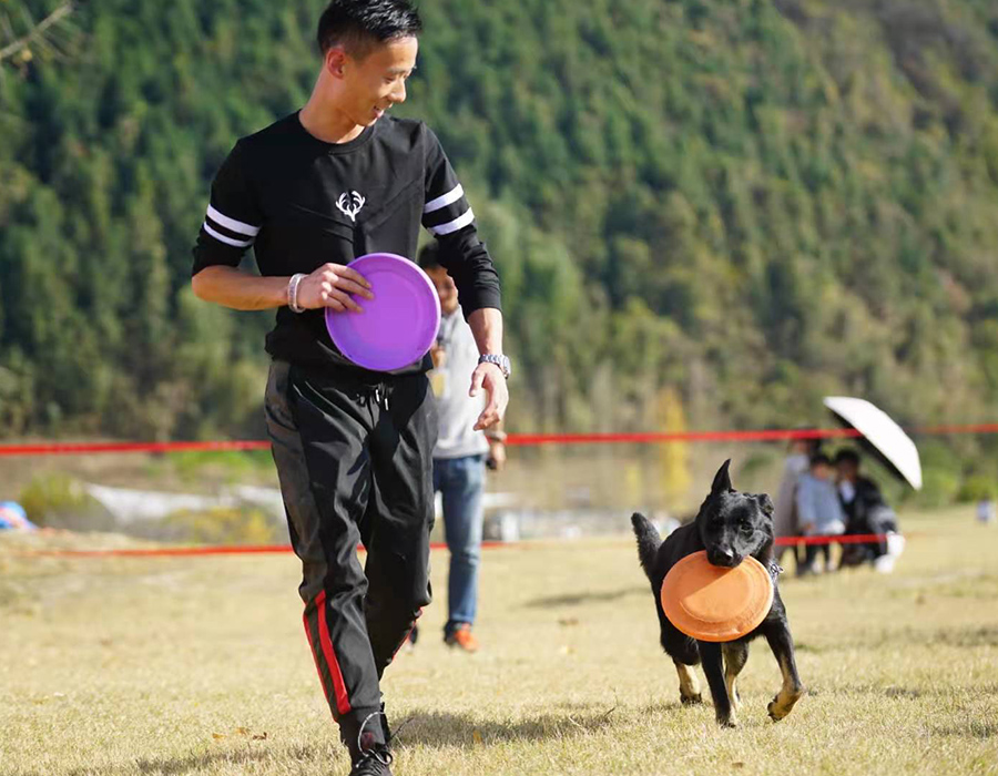 训犬集锦