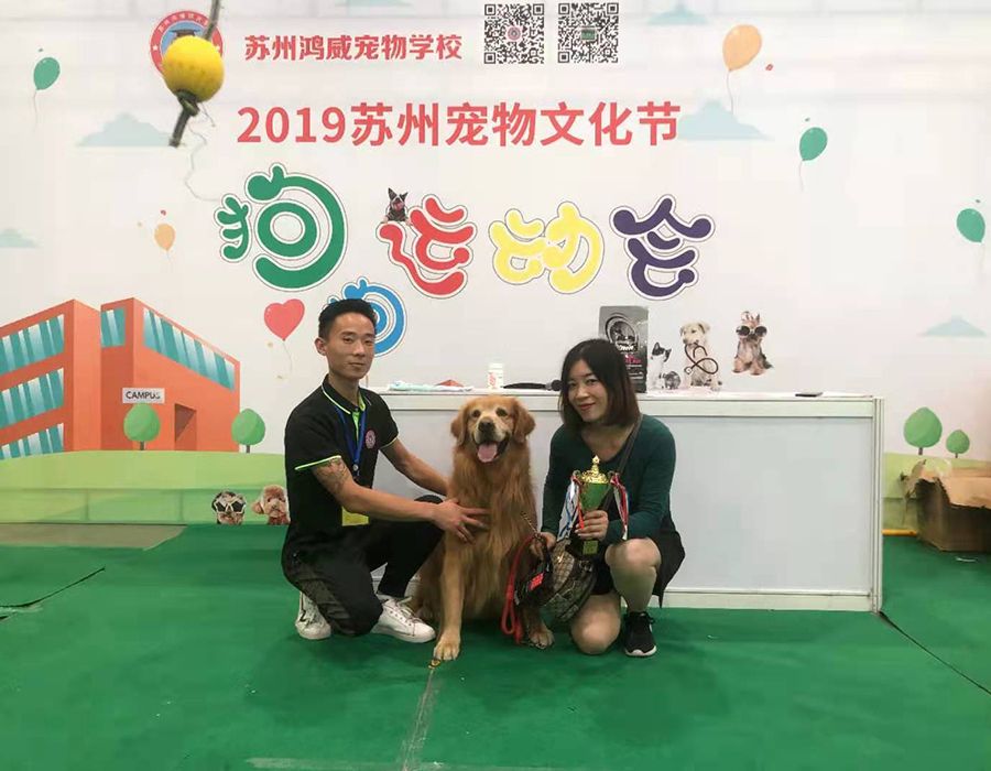 训犬集锦