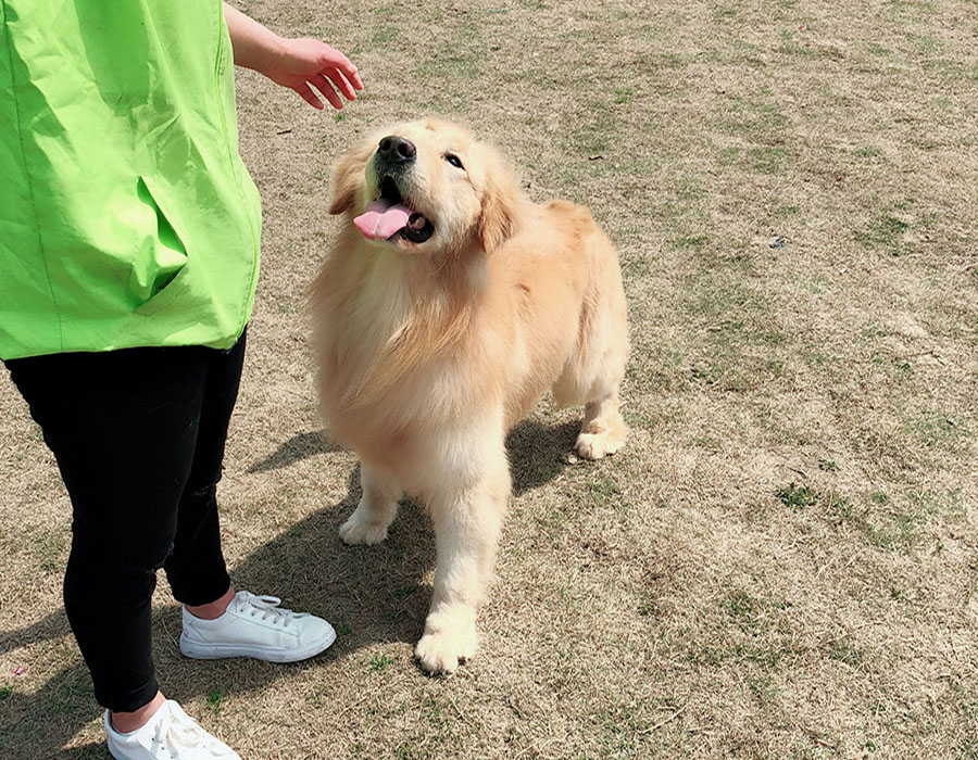 环境展示